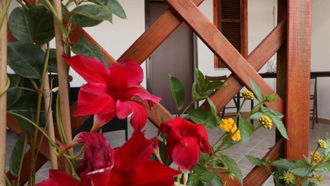 B&B Verzavò Cetraro Exterior foto